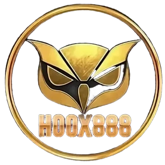 hoox 8888